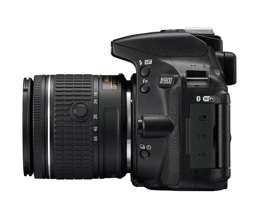 מצלמה רפלקס DSLR Nikon ניקון D5600 + עדשה 18-55 AF-P VR - תמונה 10 מצלמה רפלקס DSLR Nikon ניקון D5600 + עדשה 18-55 AF-P VR - תמונה 10