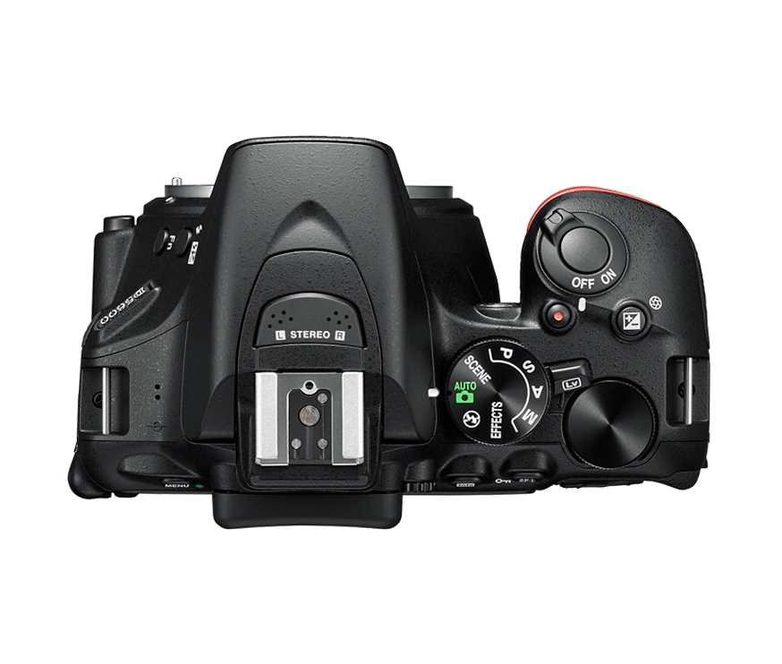 מצלמה רפלקס DSLR Nikon D5600 ניקון + עדשה 18-140VR AF-S - תמונה 7 מצלמה רפלקס DSLR Nikon D5600 ניקון + עדשה 18-140VR AF-S - תמונה 7