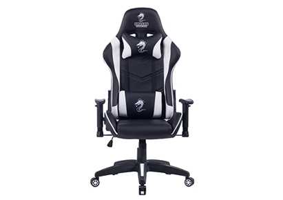 כסא גיימינג Dragon Ggladitor לבן - תמונה 1 כסא גיימינג Dragon Ggladitor לבן - תמונה 1