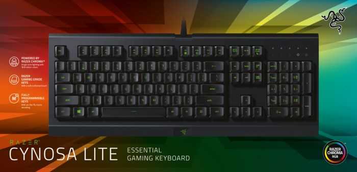 מקלדת גיימינג RAZER Cynosa Lite - תמונה 2 מקלדת גיימינג RAZER Cynosa Lite - תמונה 2