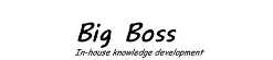 Big Boss logo